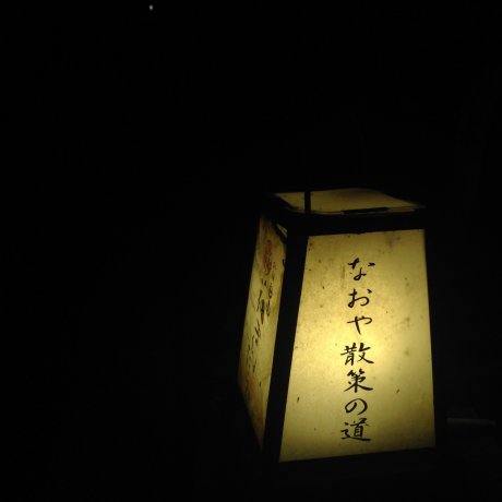 ตามหาแสงไฟดวงน้อยที่ Kinosaki onsen