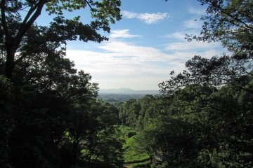 <p>A break in the trees on the trail to the observation point allows this view</p>