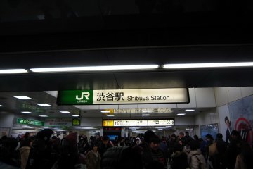 <p>ป้ายชื่อสถานี ชิบูย่า ตรงทางออกฝั่งที่ฮาจิโกะจ้องมอง</p>