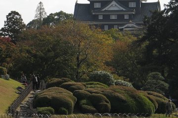 Okayama Castle viewed from Korakuen Garden