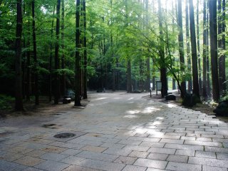 Le parc Ikuta, apaisant
