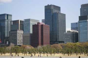 <p>The view of lego-like buildings from Kokyo Gaien, a large park in front of the palace</p>