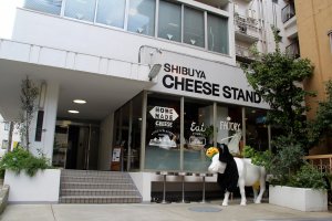 Shibuya Cheese Stand cannot be missed