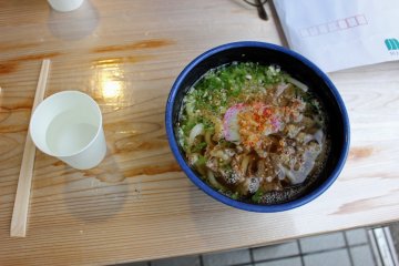 Udon from Sugi-no-Yu Road Station