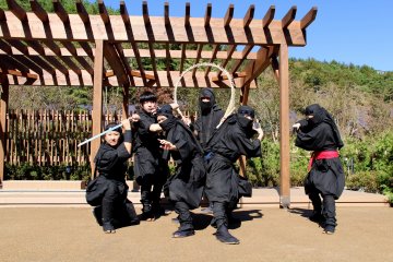 Several ninja performances can be seen throughout the day