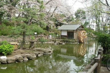 <p>สวนสาธารณะโชโตะ</p>