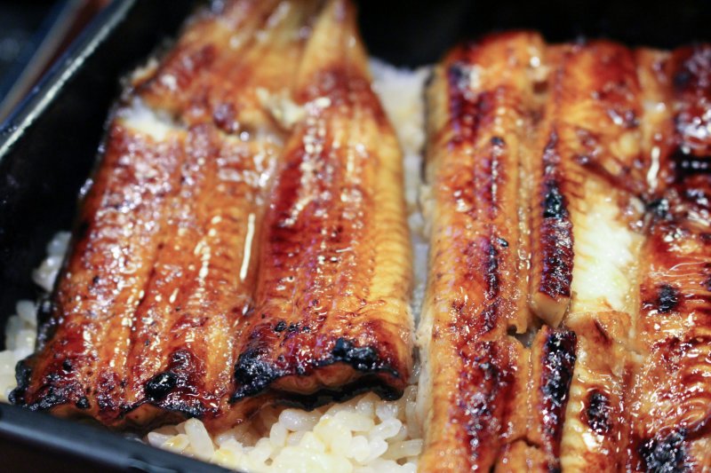 <p>Jo-unaju (grilled eel on rice)</p>
