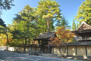 <p>Trees dressed up in different colours outside Kangakuin</p>