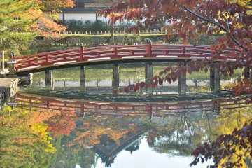 <p>Dark orange leaves lean over a red bridge in a shrine</p>