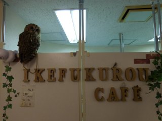 Ikefukurou cafe