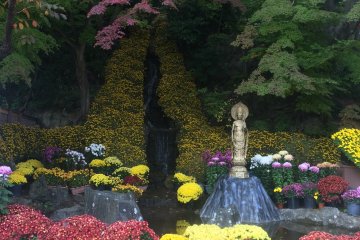 <p>A waterfall highlighted by flowers.</p>