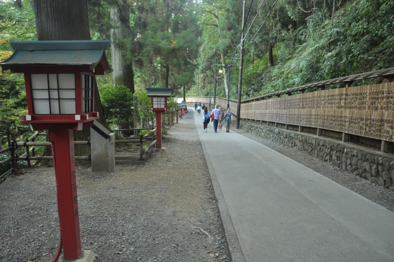 <p>The path leading up to Yakuoin</p>