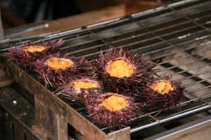 Sea urchins being grilled on a street side stall, Okage Yokocho