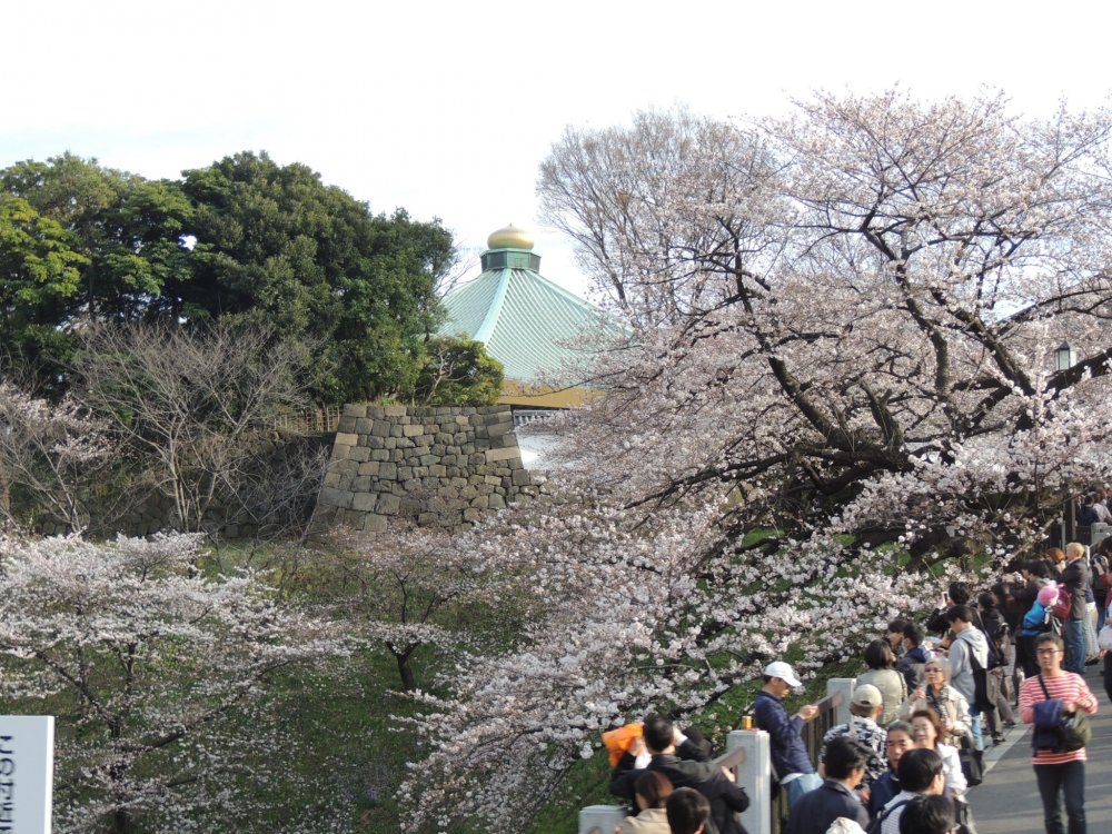 Le Jardin Kitanomaru à Tokyo - Tokyo - Japan Travel