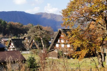 <p>Thatched roof houses in Shirakawa-go</p>