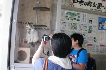 <p>นิทามะโพสท่าให้ถ่ายรูป</p>