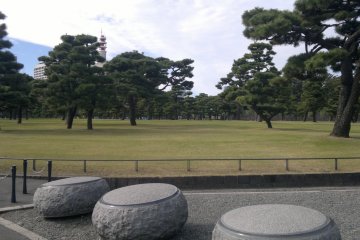 Tokyo Kokyogaien National Garden