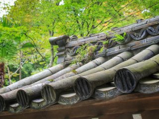 A fern grows on the roof tiles at Zuiho Temple
