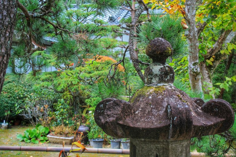 สวนของวัดซุยโฮะมีรายละเอียดที่งดงามสำหรับถ่ายภาพ