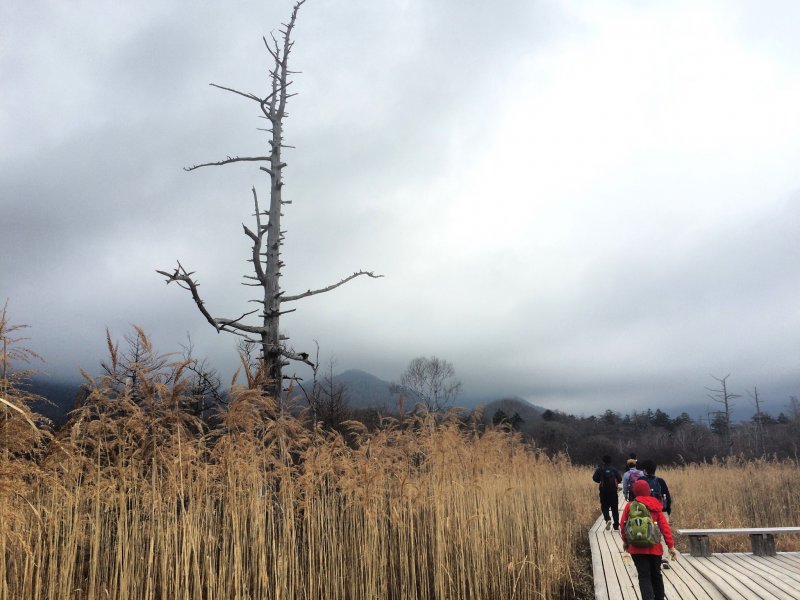 <p>Senjogahara marshland in Nikko takes about 2-3 hours to hike.</p>