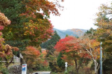 <p>Fall colors at&nbsp;Sengoku</p>