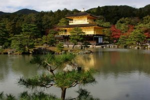 วัดคินคะคุจิ ( Kinkakuji Temple ) หรือ วัดพลับพลาทอง ( Golden Pavilion )
