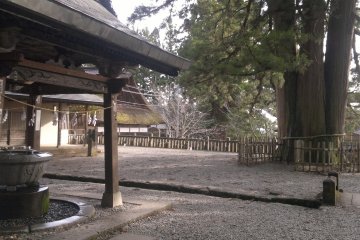 <p>Chōzuya (purification spring) and a huge cedar tree at the front plaza of the shrine.</p>