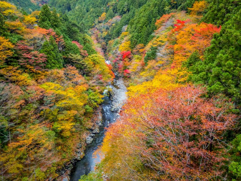 <p>Looking out eastward towards the impressive and colorful Sogaku Ravine</p>