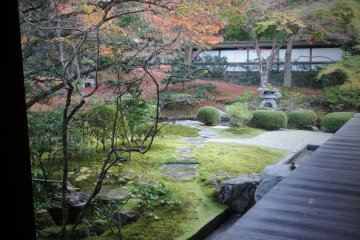 <p>Взгляд мельком на сад из коридора храма</p>