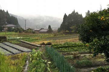 <p>It was starting to rain again and mist developed around the foot of the mountains.</p>
