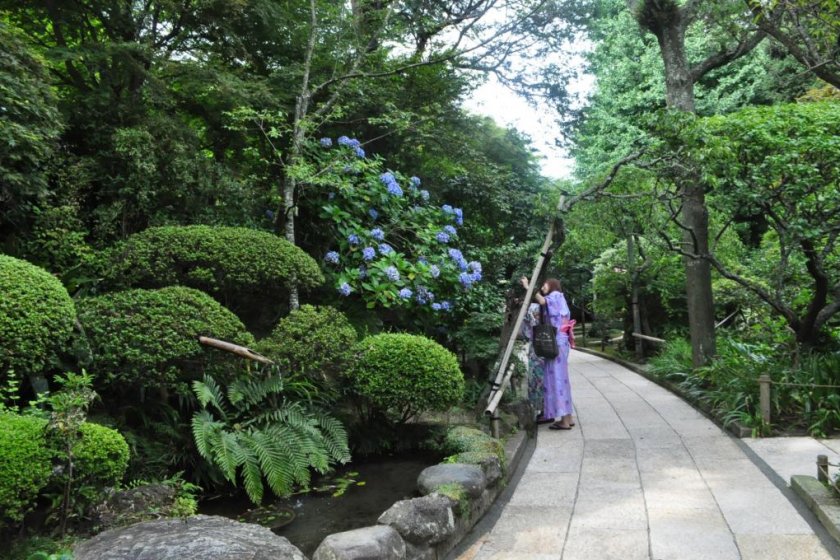 Admiring the landscaping in the Hokokuji entrance path