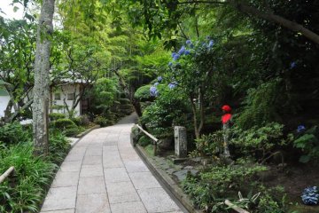 Winding path towards the temple