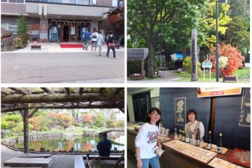 <p>Otokoyama Sake Brewery and Museum</p>