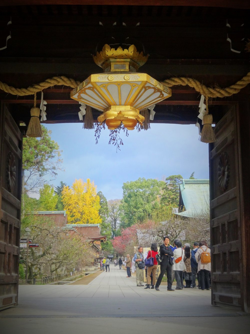 Sekilas melalui pintu gerbang Kitano Tenmangu memperlihatkan ginkgo emas