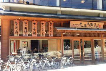 There are a number of stores that rent bicycles near the ferry terminal at Amanohashidate.

