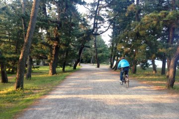 The bicycle ride from the bridge at Amanohashidate across the sand spit to Ichinomiya takes twenty minutes.
