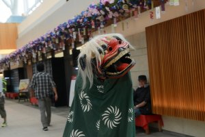 You can even witness a lion dance