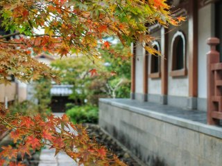 Autumn colors at Sengen-ji
