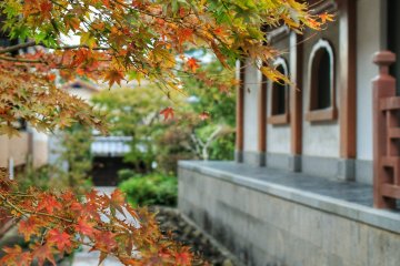 Autumn colors at Sengen-ji
