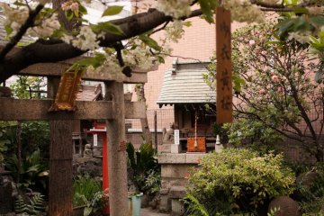 Stone tori, cherry trees and gardens at Yanagimori shrine in Akihabara