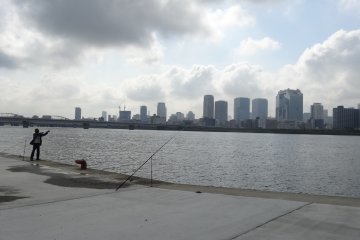<p>อุเมะดะเป็นแหล่งรวมตึกระฟ้าสวยๆ สูงๆ ของโอซาก้า</p>
