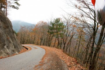 <p>The mountain road leading down to the Hotel Nosegawa</p>
