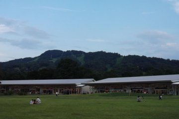 <p>Looking across the spacious lawn to some more shops</p>