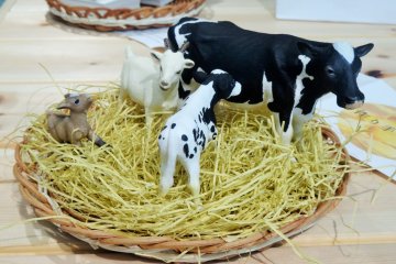 <p>You can thank these animals for the tasty cheese we eat</p>

