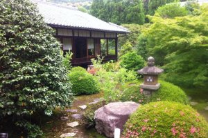 Experience the peace of a Japanese Garden that tour buses don't go to with Mr Doi