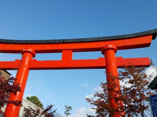 Red torii gate near the front of the shrine
