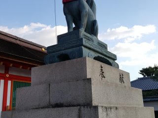 One of the fox guardians of the shrine
