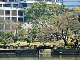 The Kishu branch of the Tokugawa family lived here, and later it was home to members of the Imperial family.