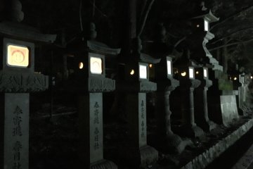 The stone lanterns of Kasuga Shrine