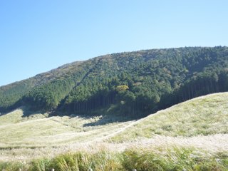 Silver grass yang dikelilingi oleh pegunungan cantik dapat dilihat mulai Oktober